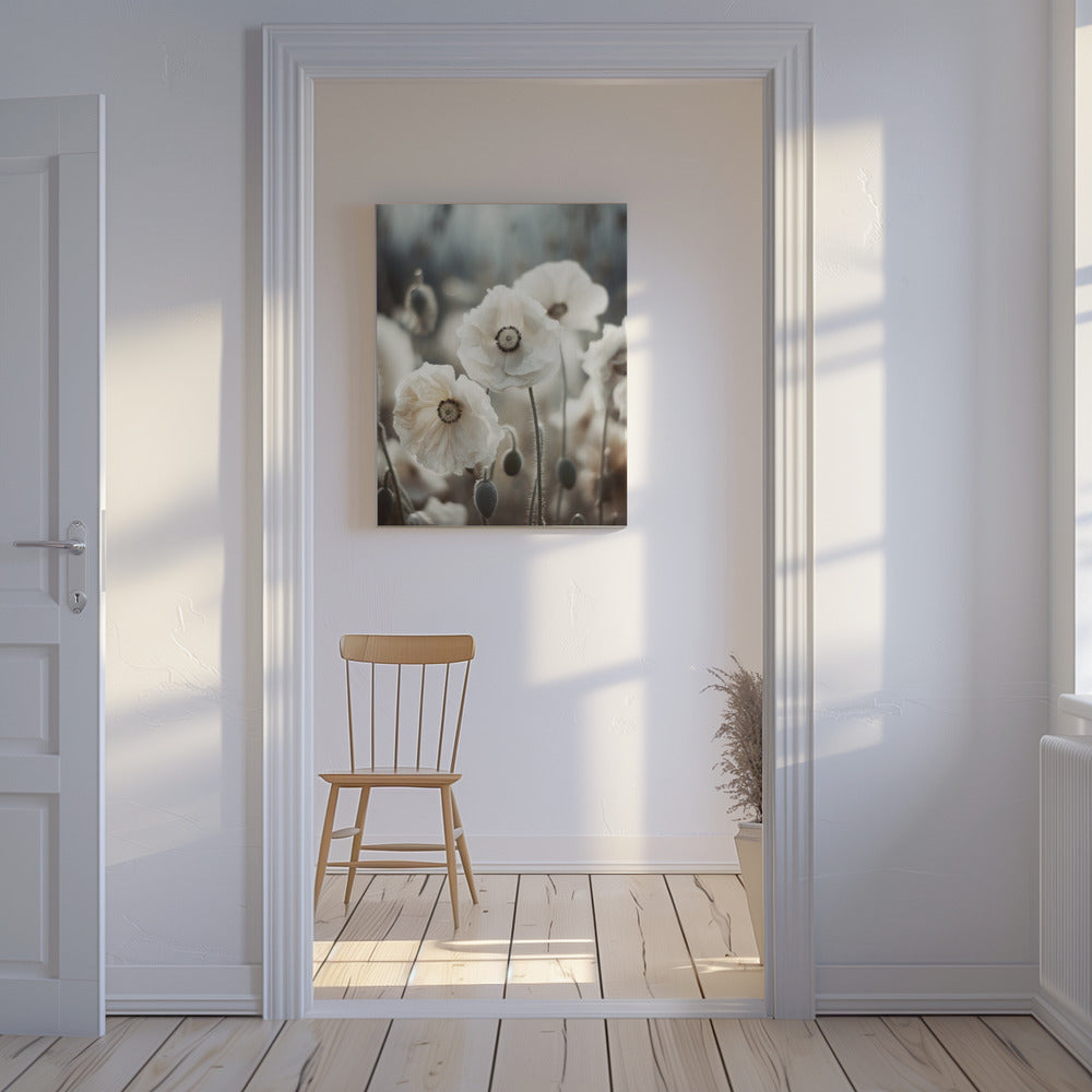 Whispers of Poppies | Canvas