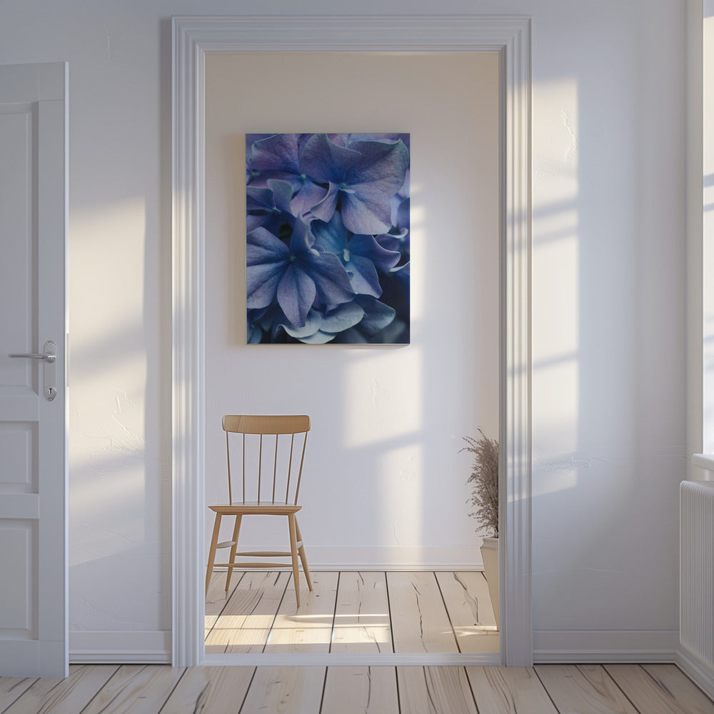Vibrant Purple Hydrangea Flowers | Canvas