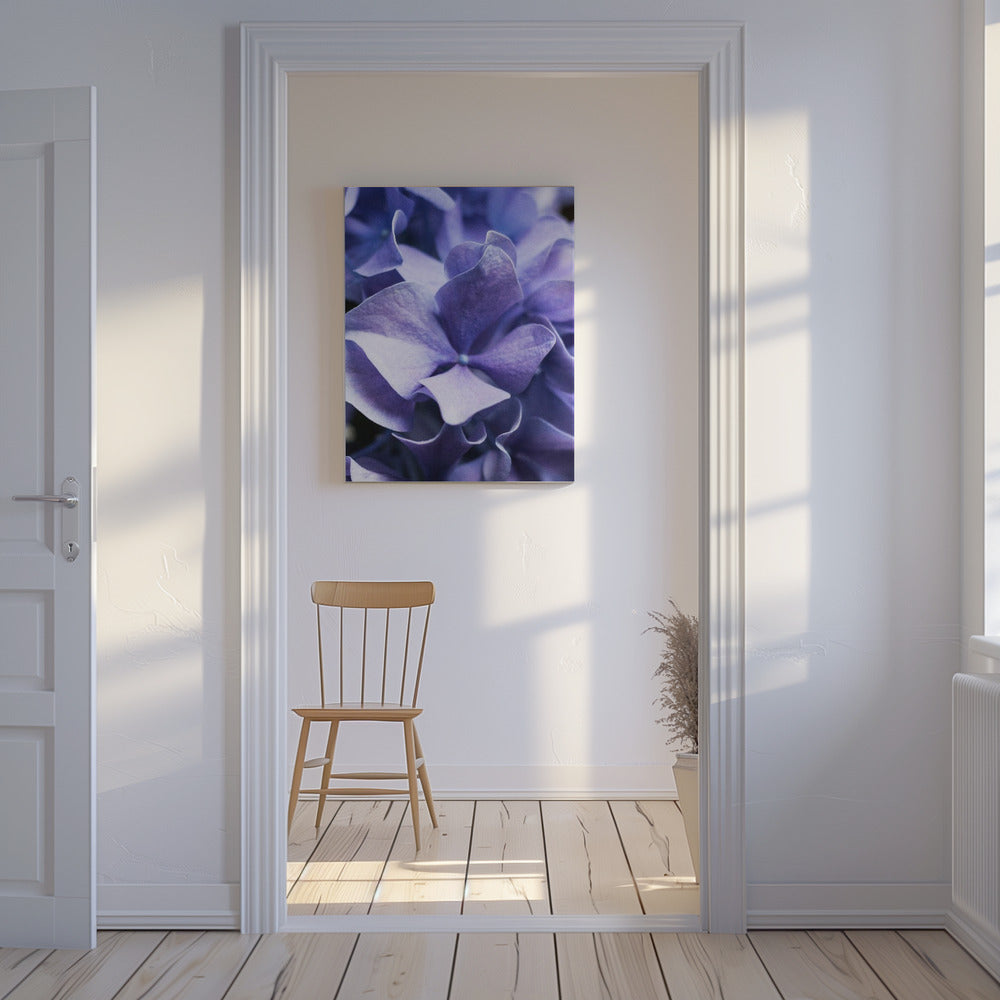 Delicate Purple Hydrangea Petals | Canvas