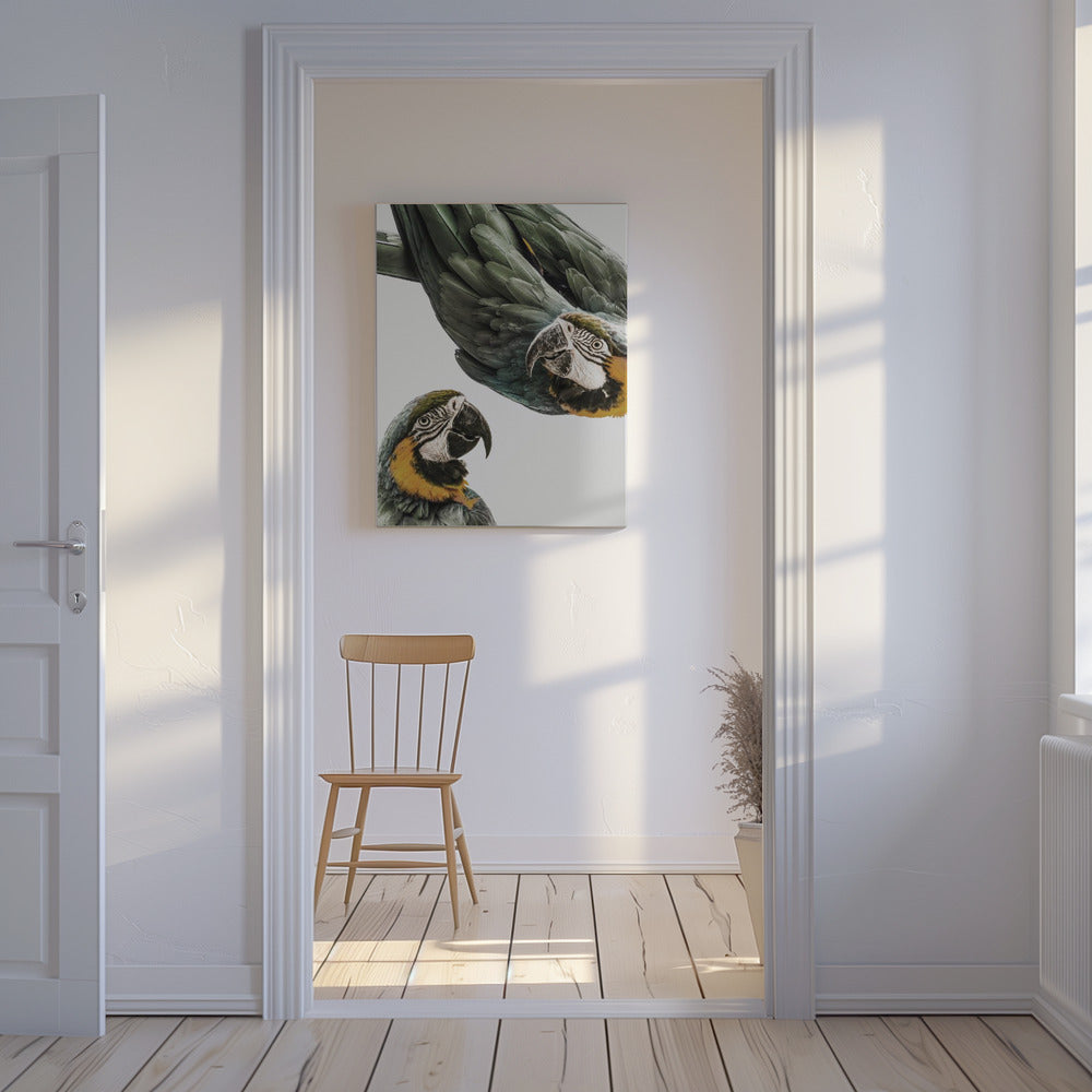 Vibrant Parrot Duo | Canvas