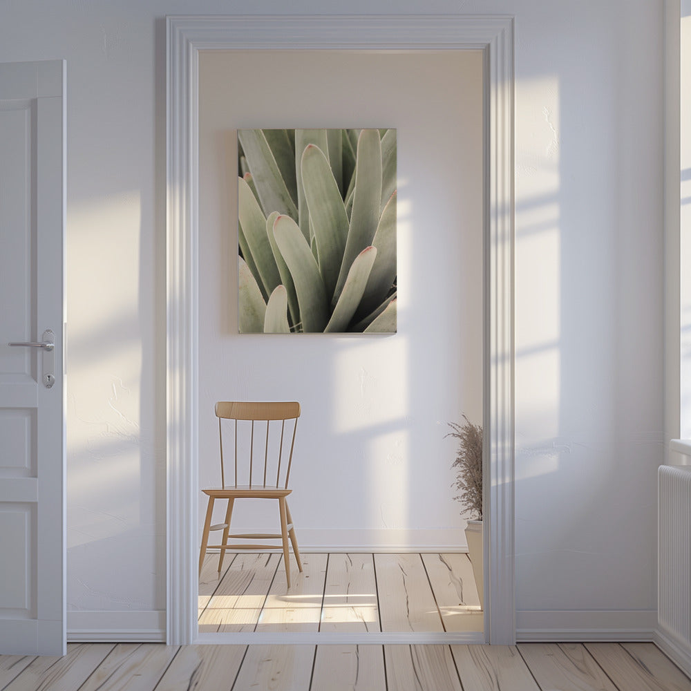 Succulent Symphony | Canvas