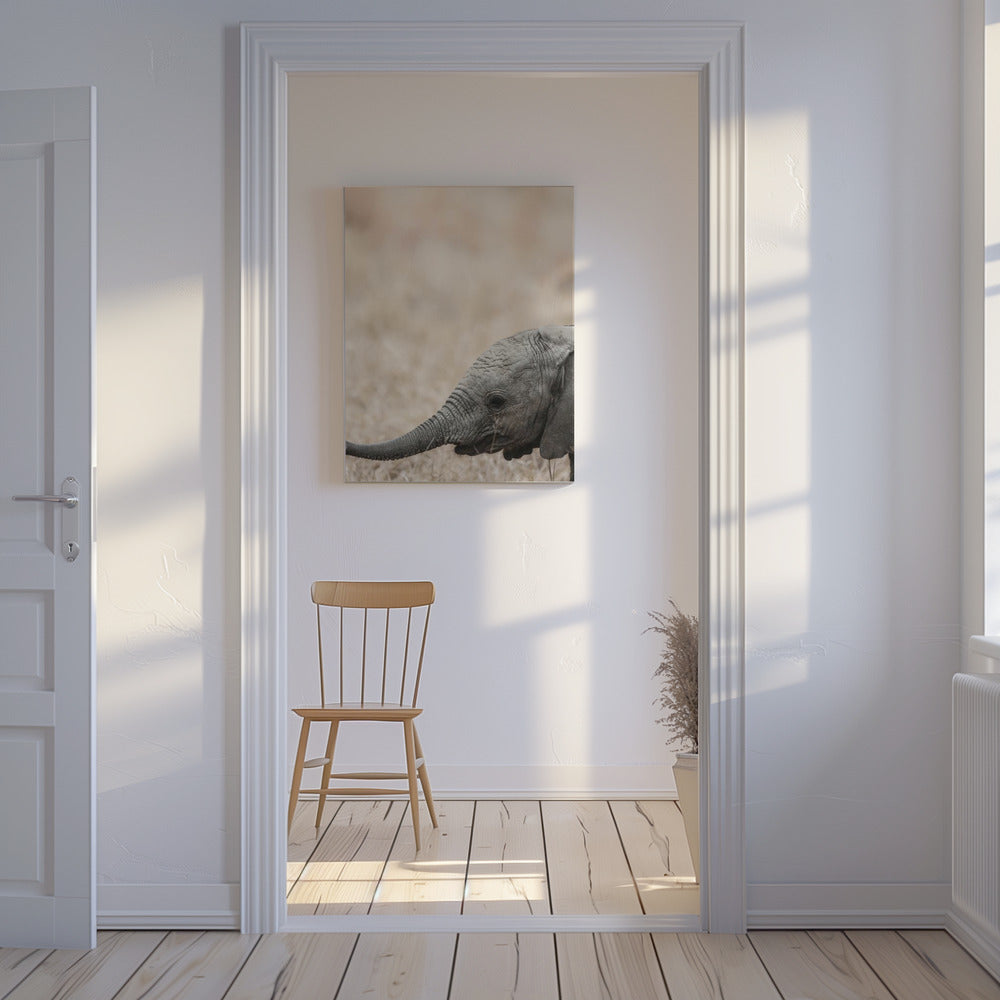 Gentle Giant's Gaze | Canvas