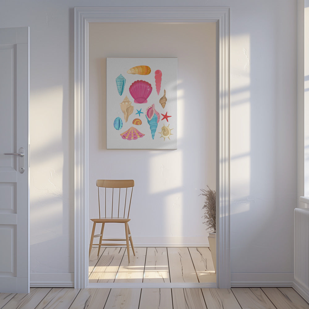 Seashells | Canvas