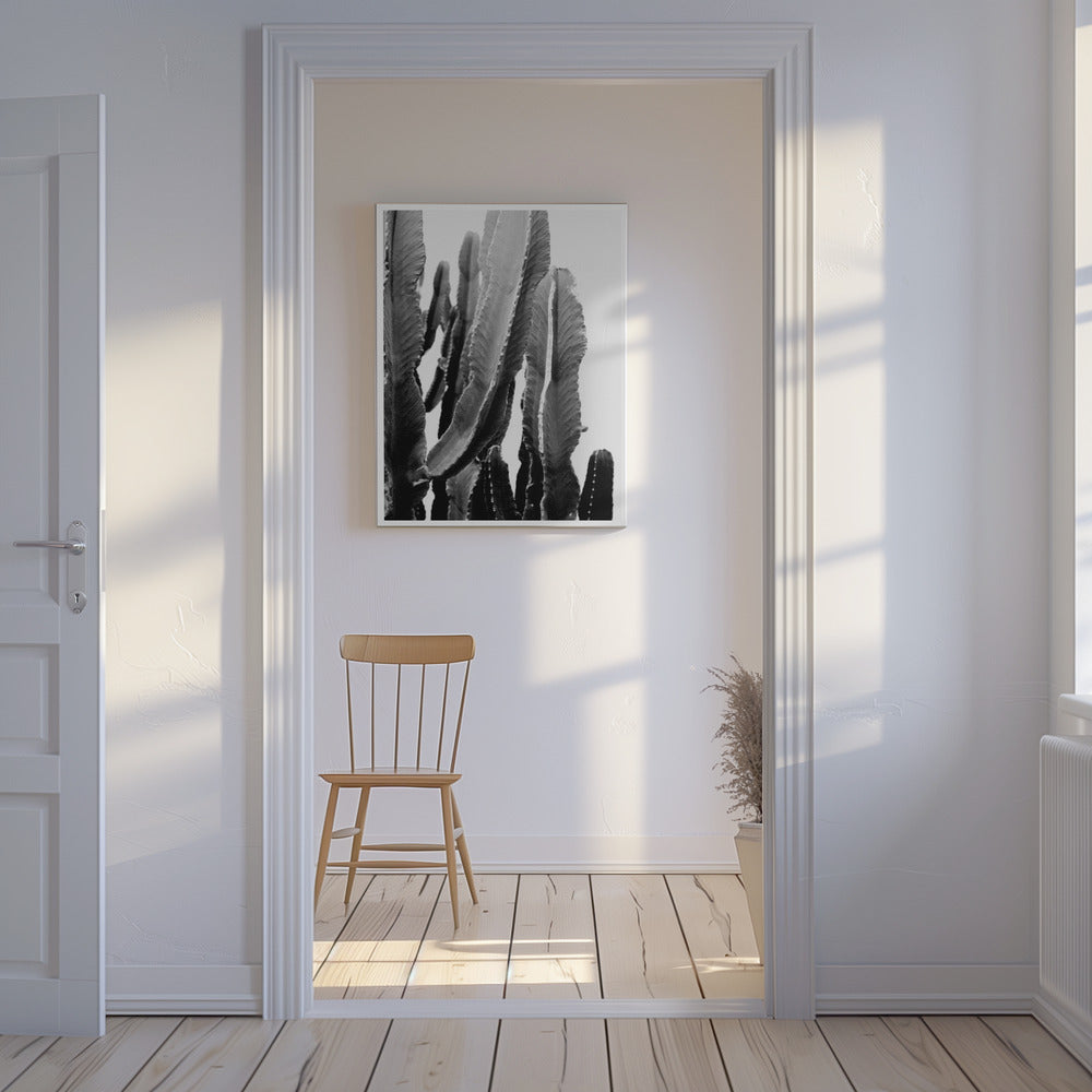 Cactus Elegance | Canvas