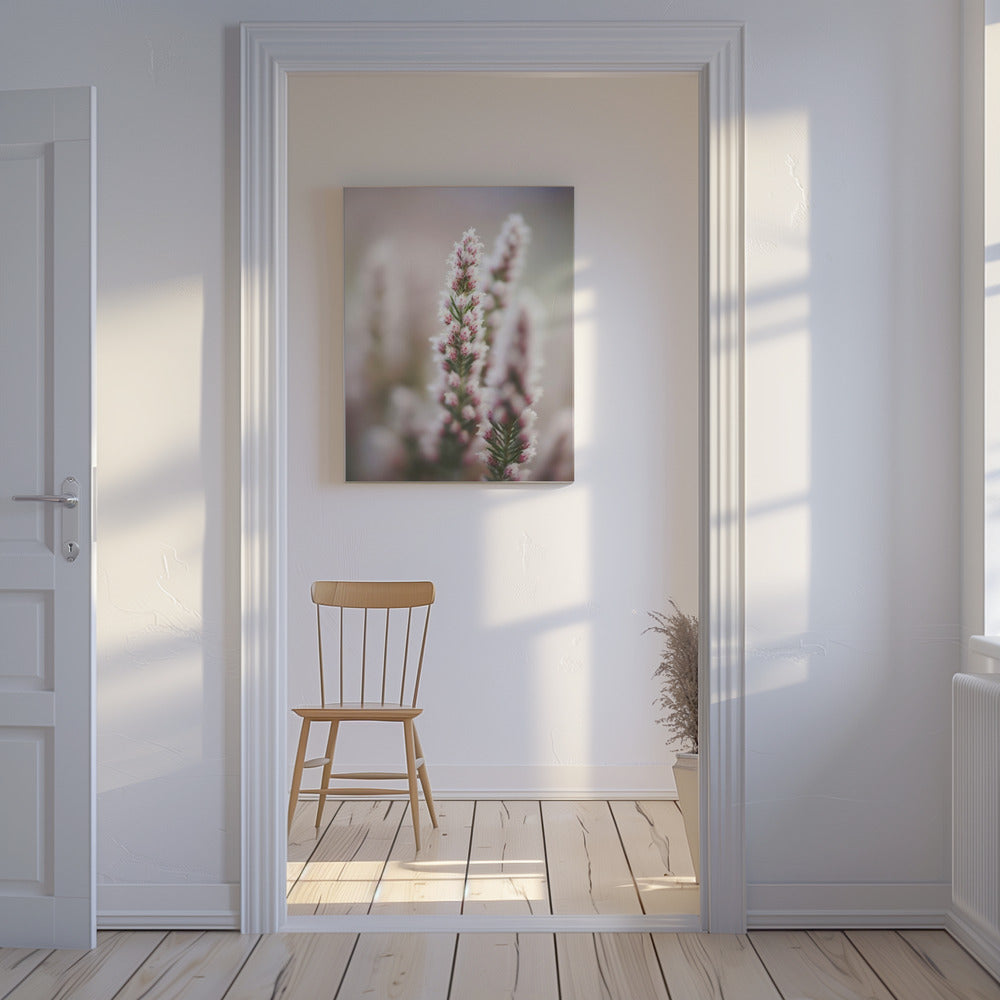 Whispers of Heather | Canvas