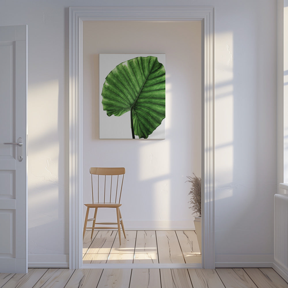 Leaves 11 | Canvas