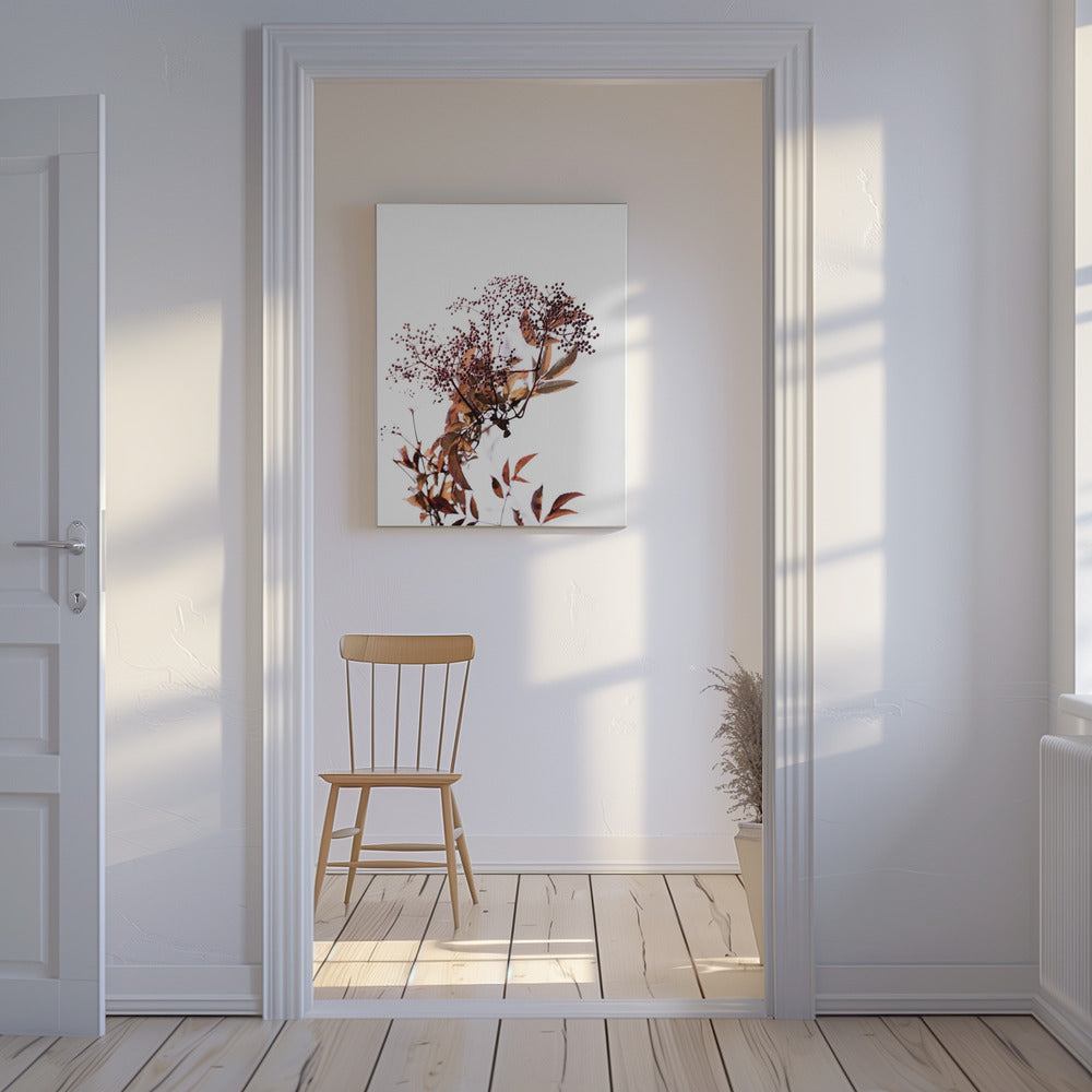 Unknown 14 | Canvas