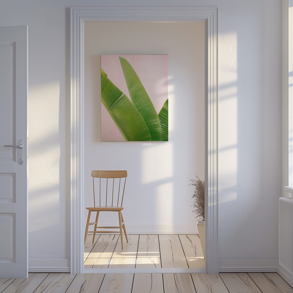 Merida Green on Pink | Canvas