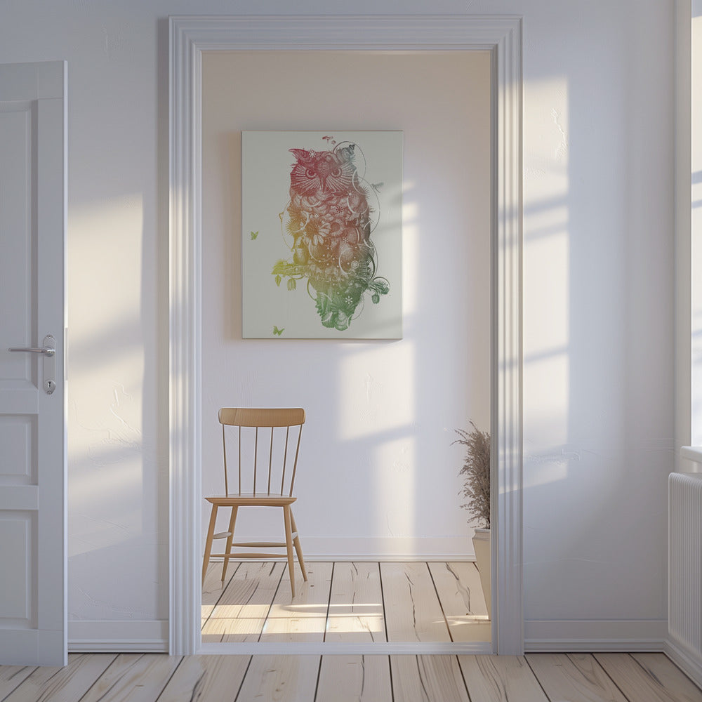 Owl | Canvas