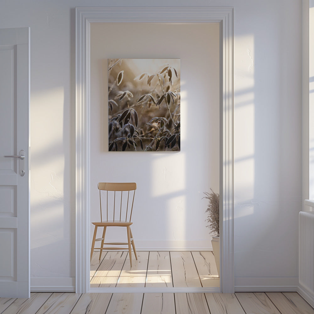 A Winter Morning 6 | Canvas