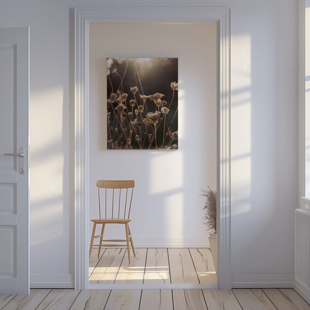 Warm Winter Light 2 | Canvas