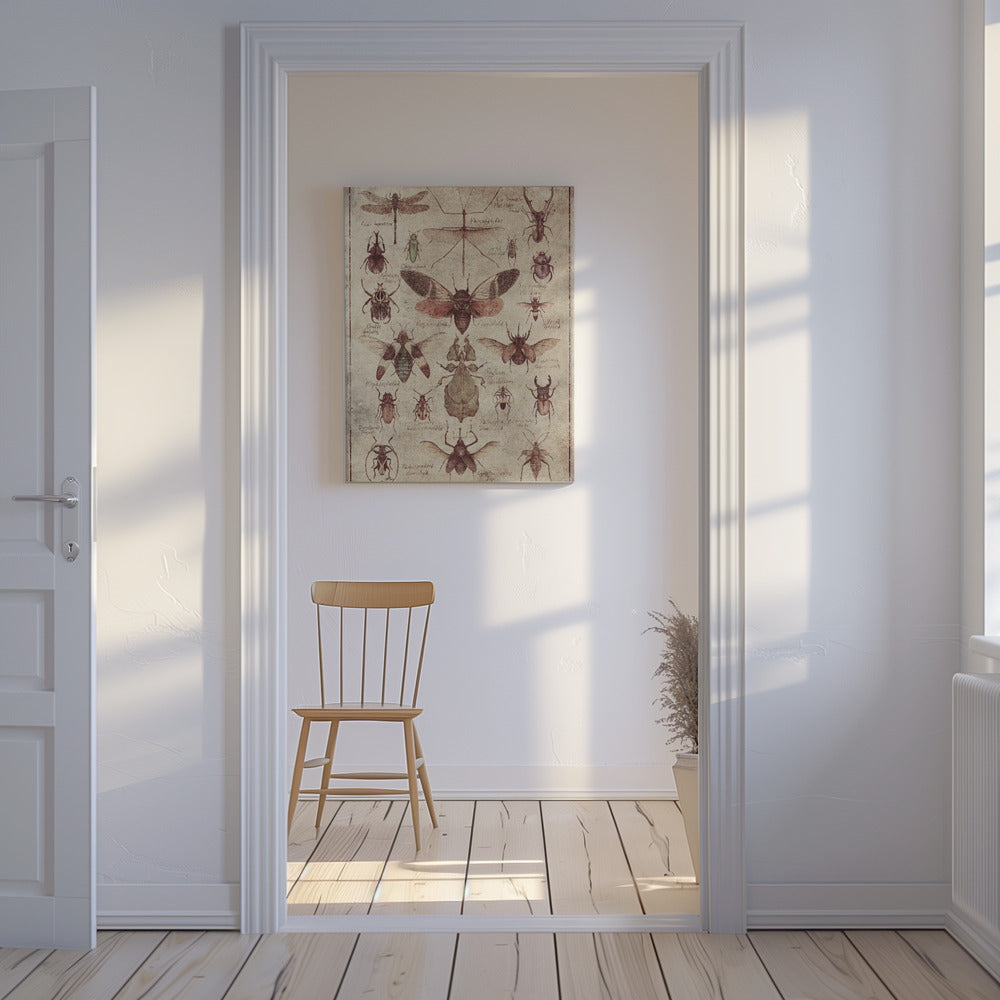 Vintage-style Insects | Canvas