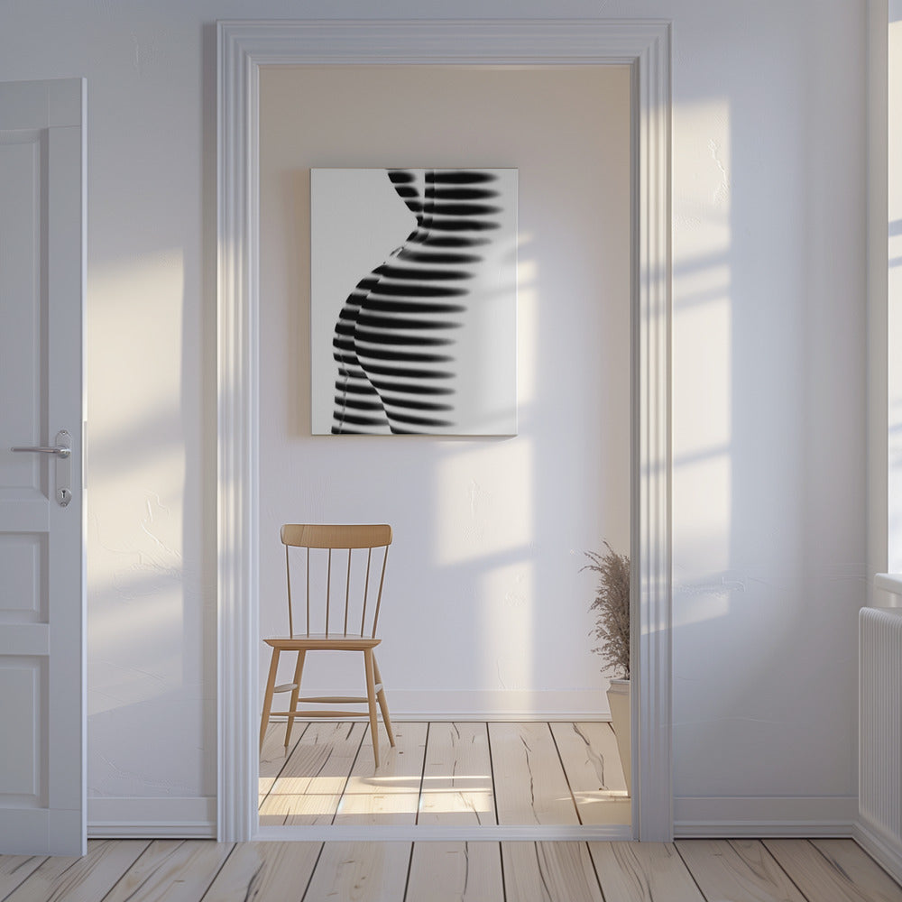 Zebra | Canvas