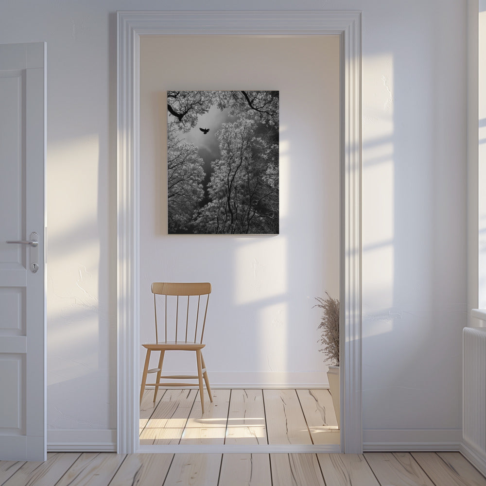 Flight | Canvas