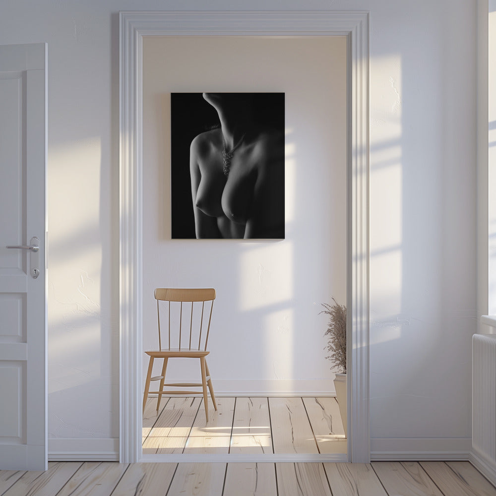 Nude curves | Canvas