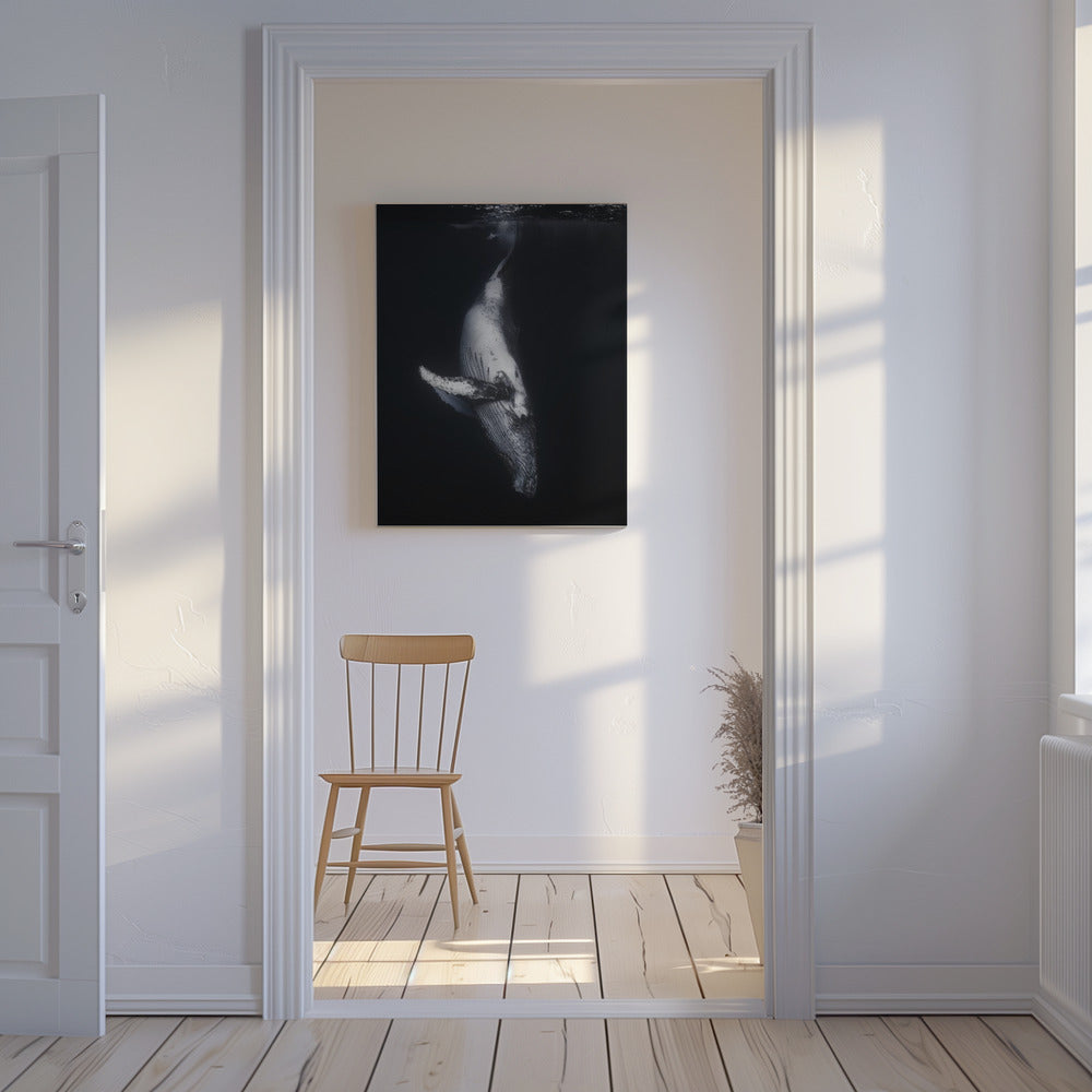 Black Whale | Canvas