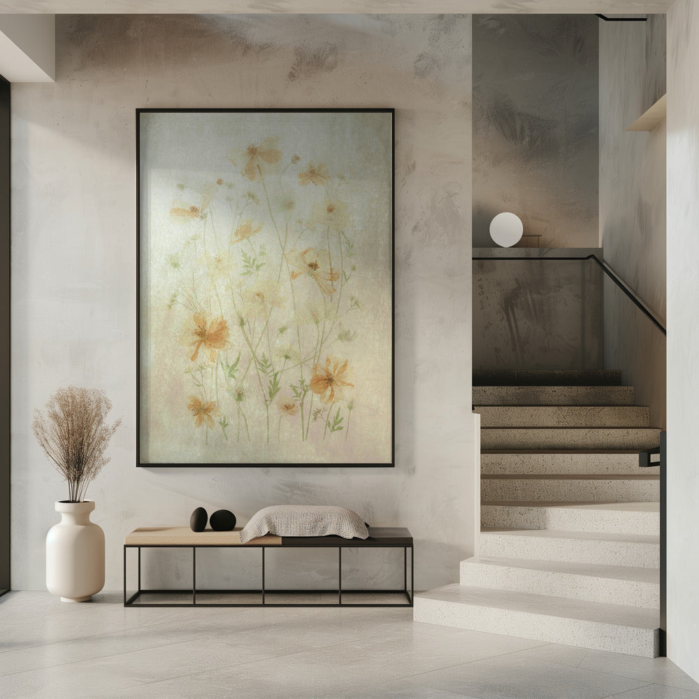 Yellow Cosmos | Poster