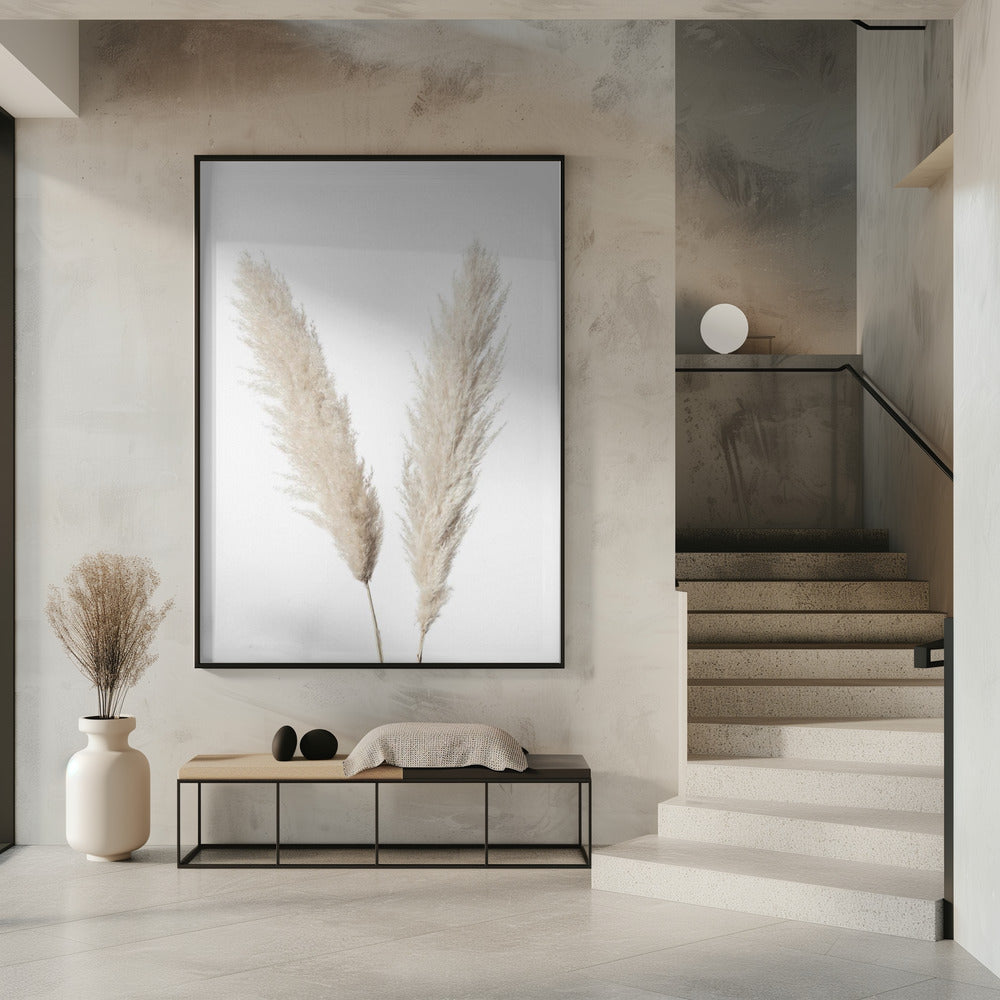Pampas White | Poster