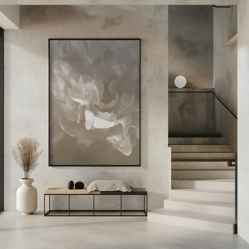 Peony_9 | Poster