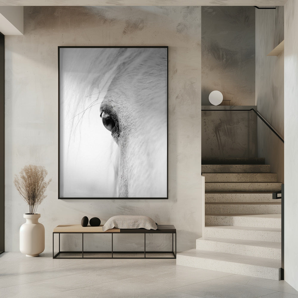 Hose eye | Poster