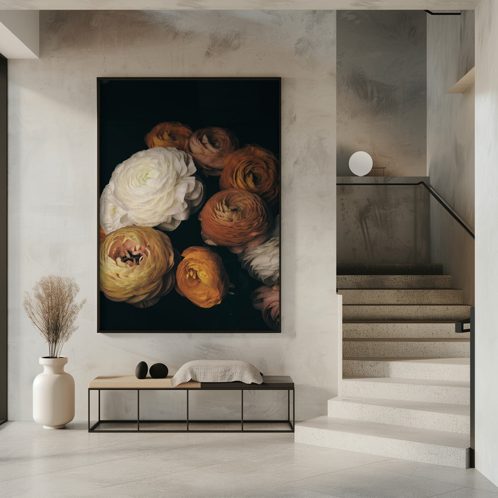 Ranunculus | Poster