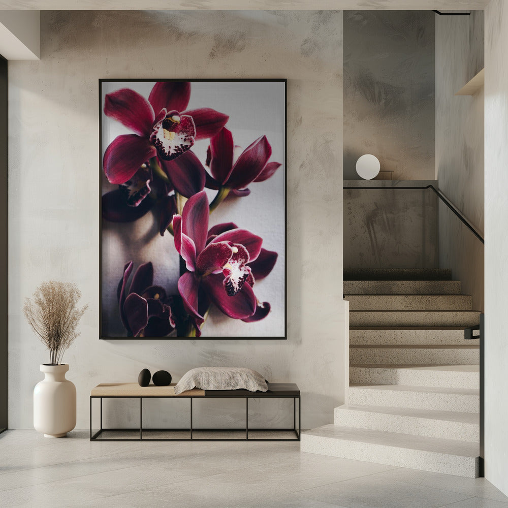 Orchid Elegance | Poster
