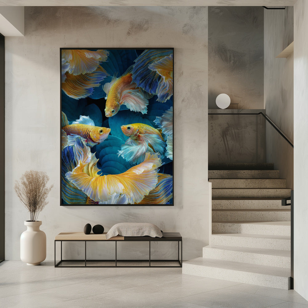 ColorFish | Poster