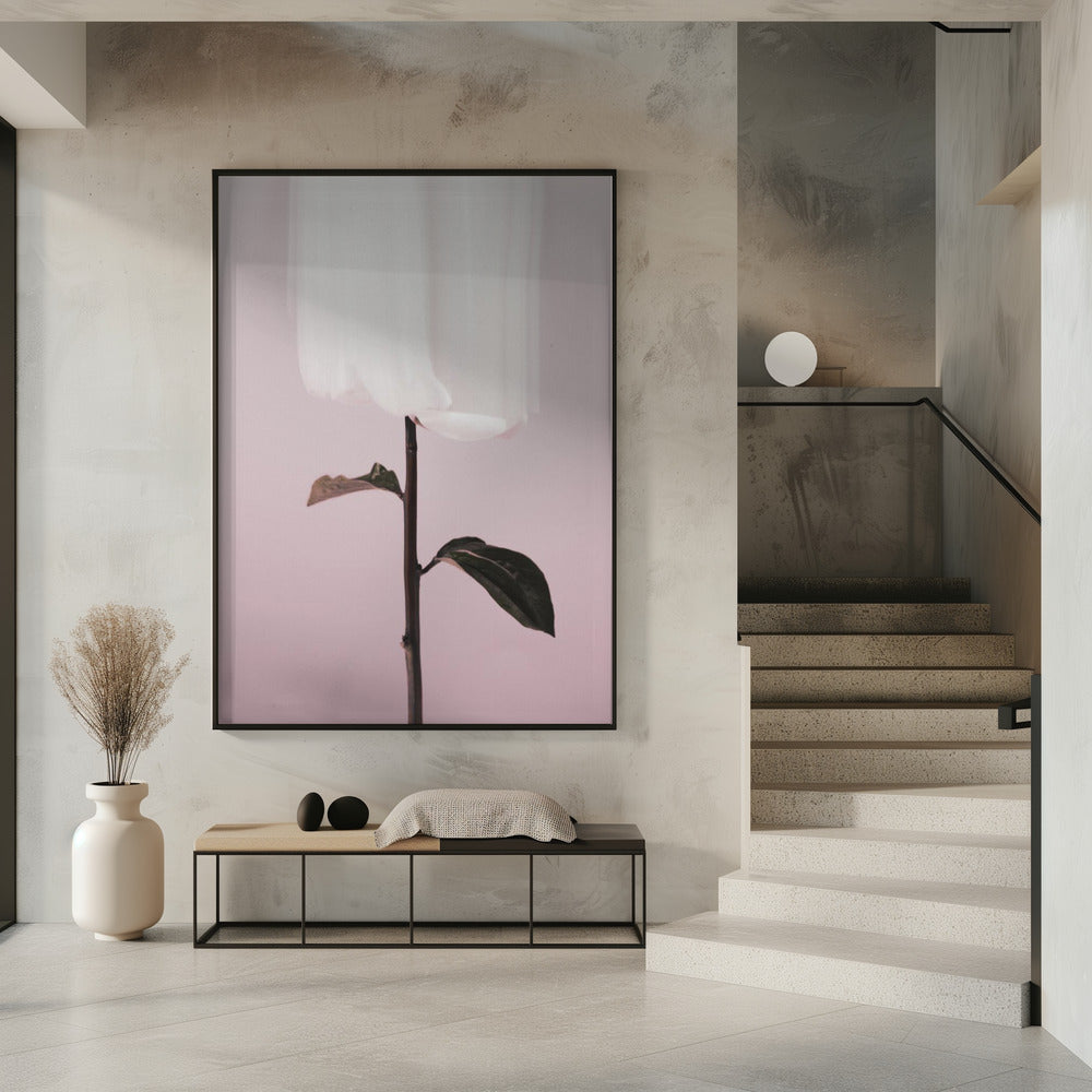 Peony 19 | Poster