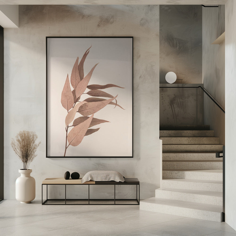 Dried Eucalyptus | Poster