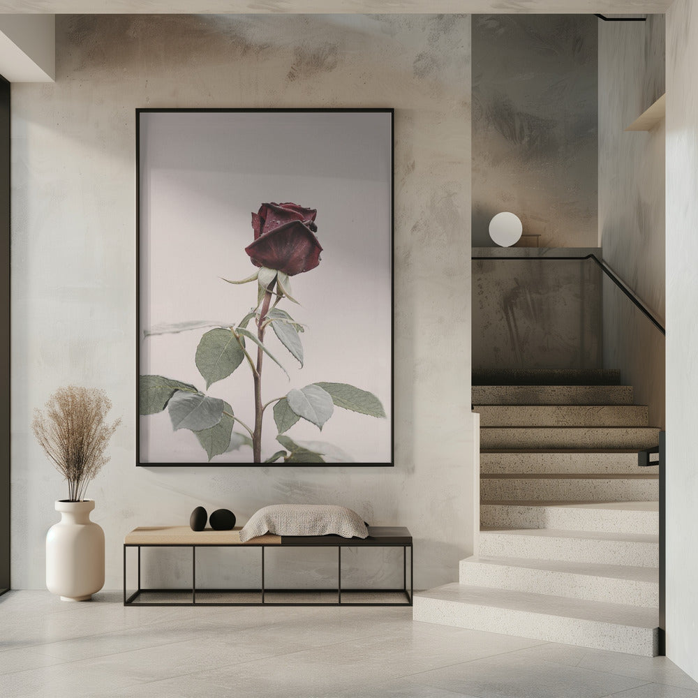 Rose | Poster