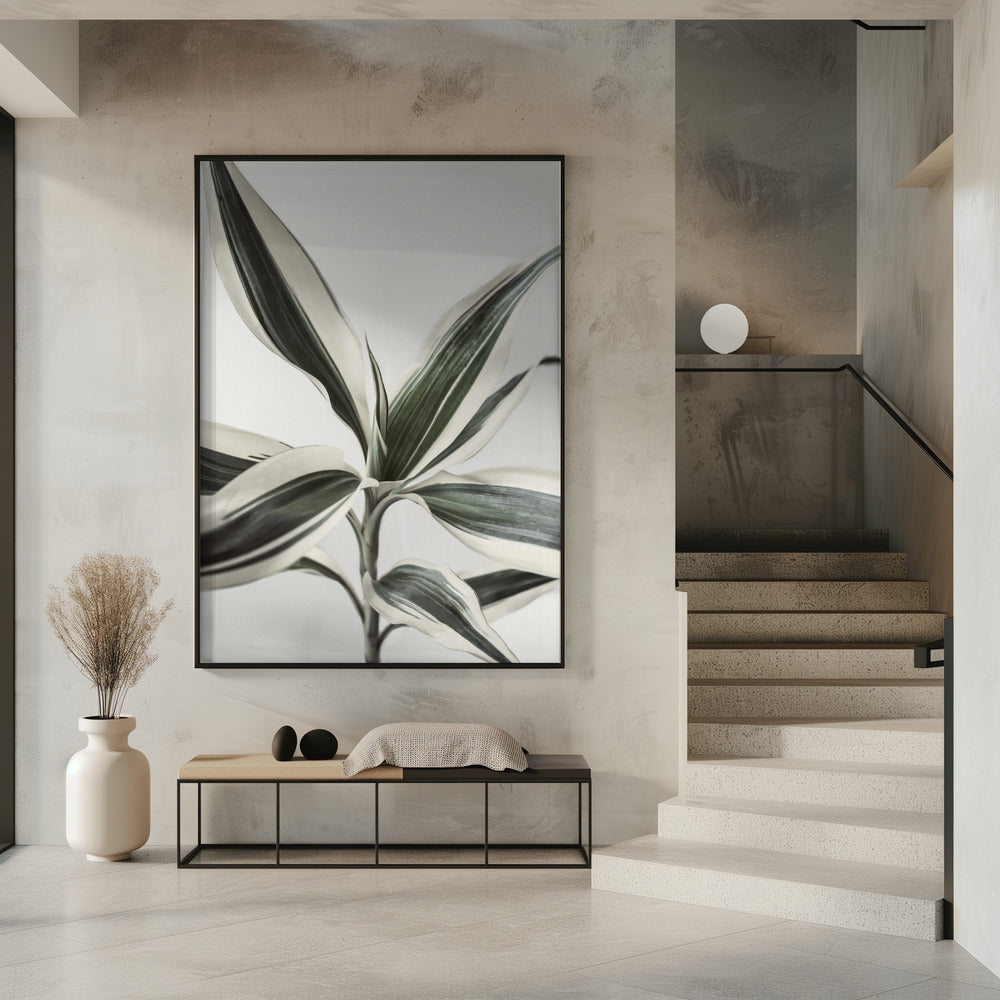 Foliage | Poster