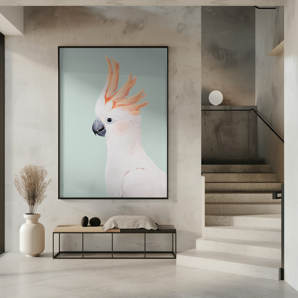 Cockatoo | Poster