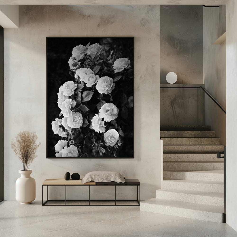 Rose Bush | Poster