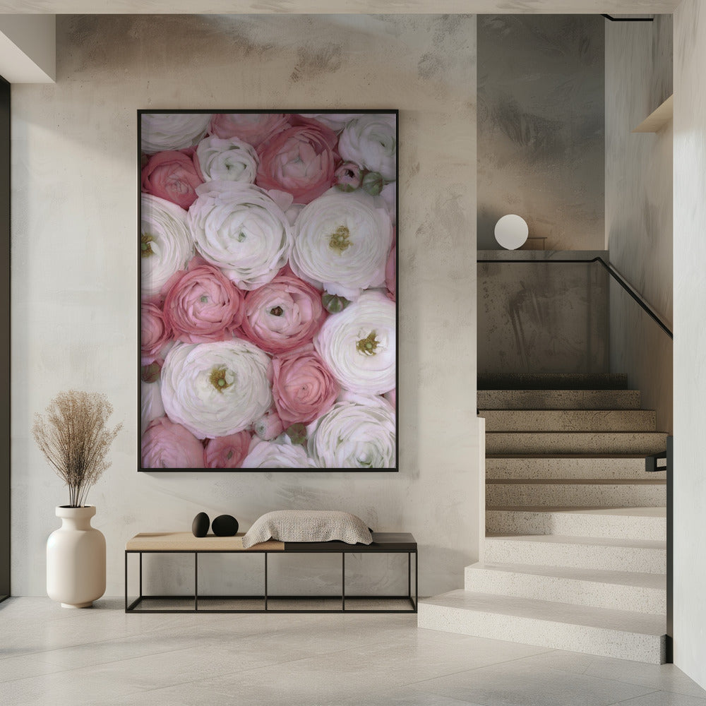 Scattered ranunculus in muted pink II | Poster