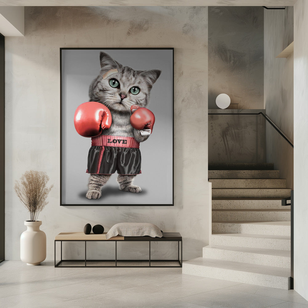boxing cat | Poster