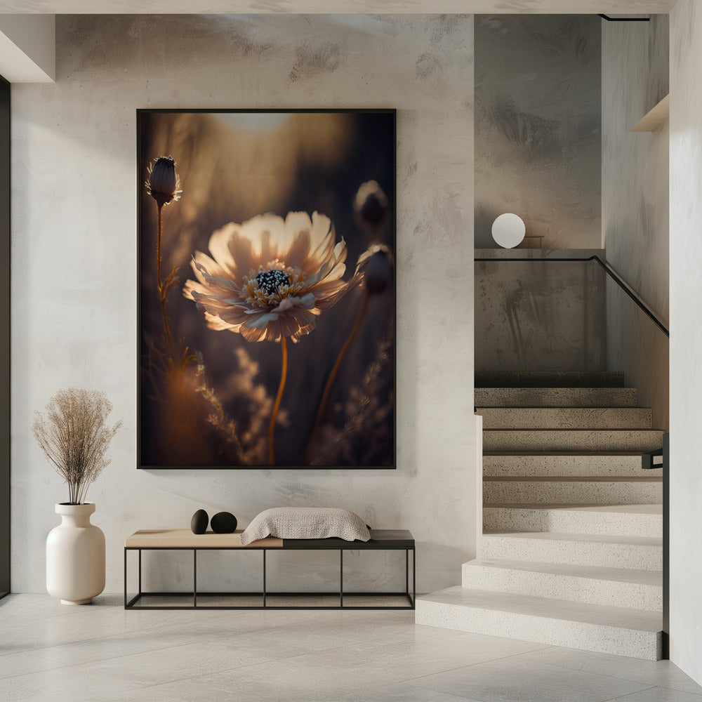 Sunlit Blossom | Poster