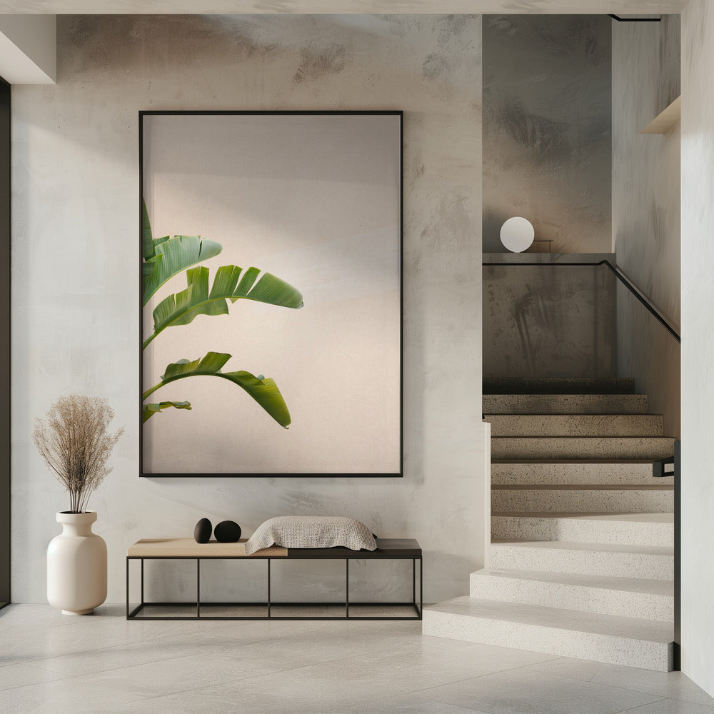 Cannes Banana Plant | Poster