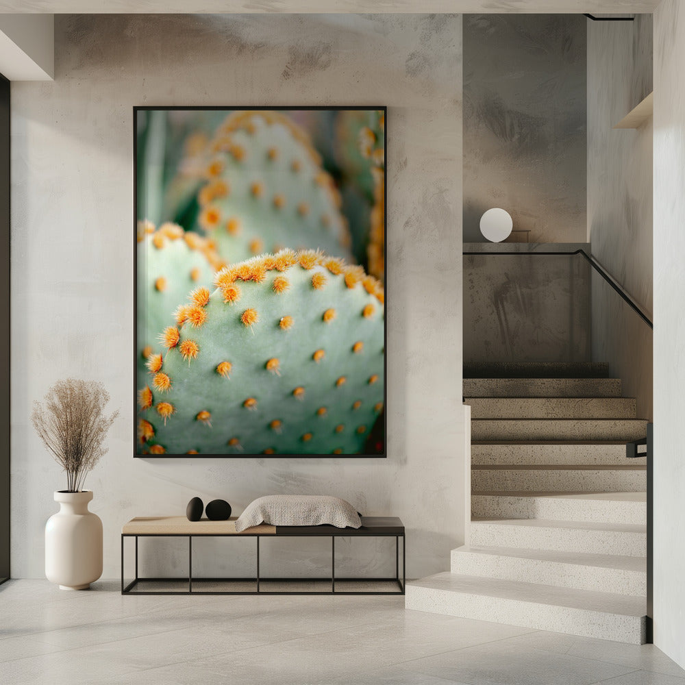 Orange and Green II - Marrakech botanical photography | Poster