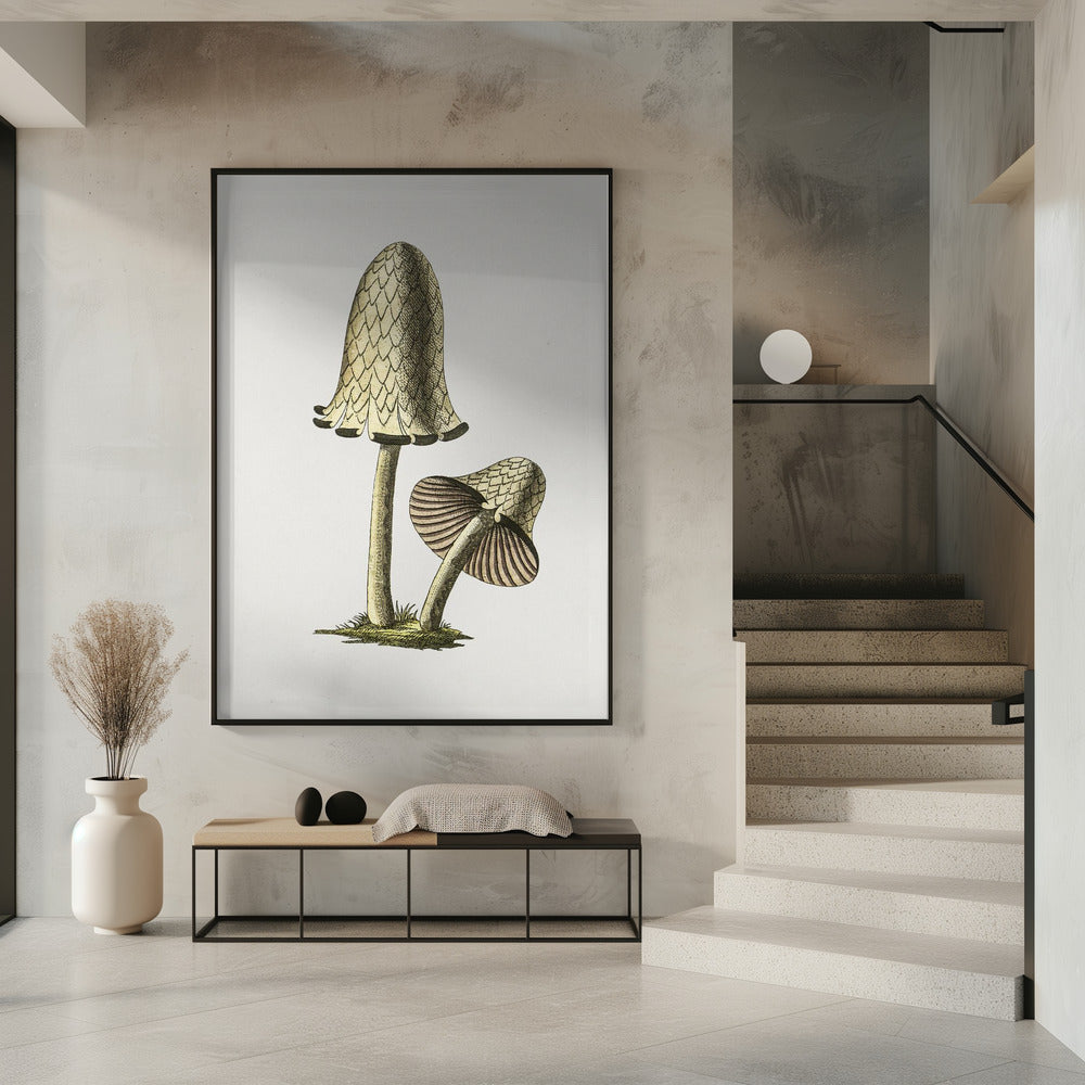 Vintage Inky Cap Edible Mushroom | Poster