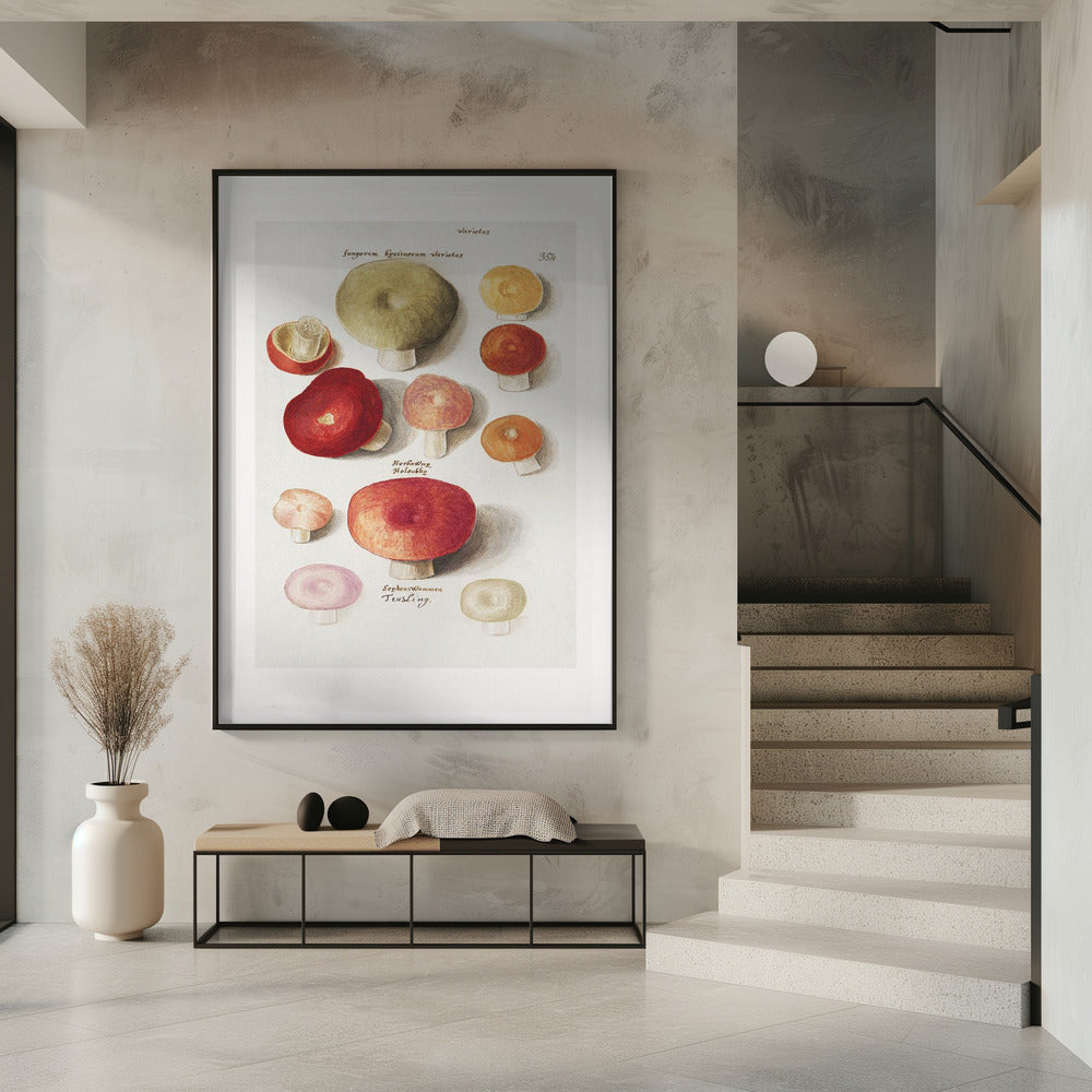 Boleten, Boletales Standing | Poster