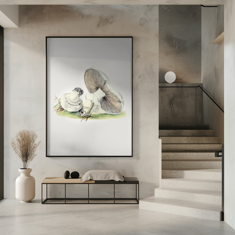Hand Drawn Horse Mushroom Standing | Poster