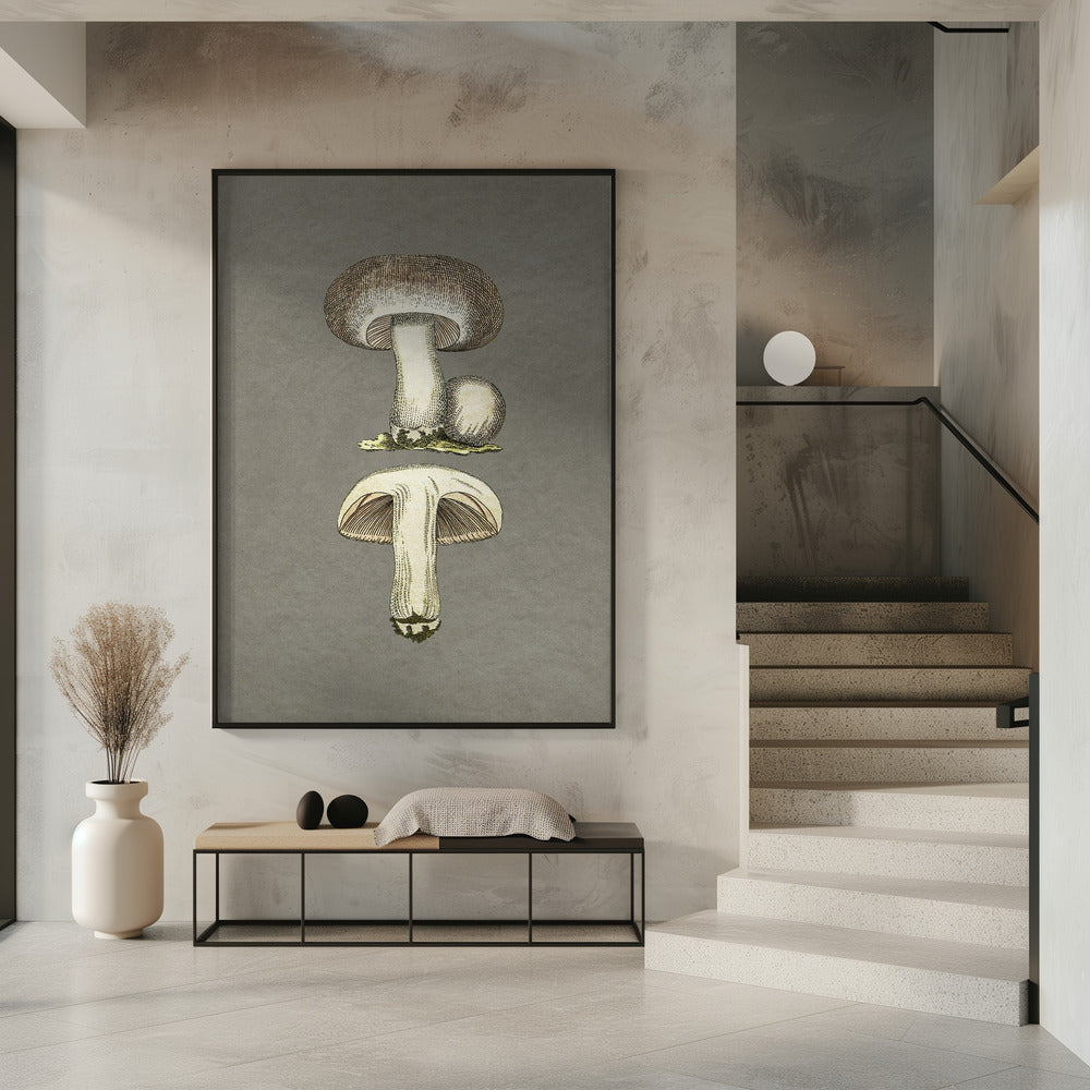 Field Mushroom | Poster