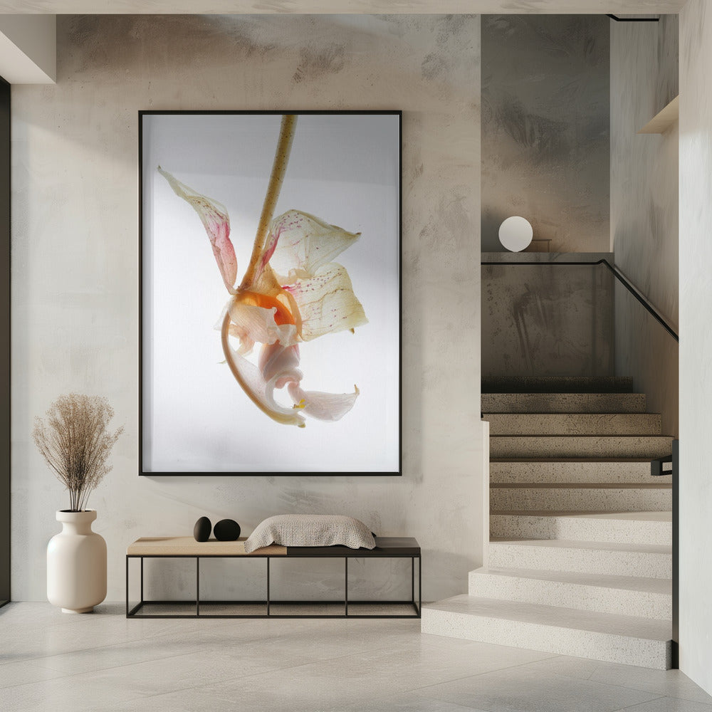 Petal Symphony | Poster