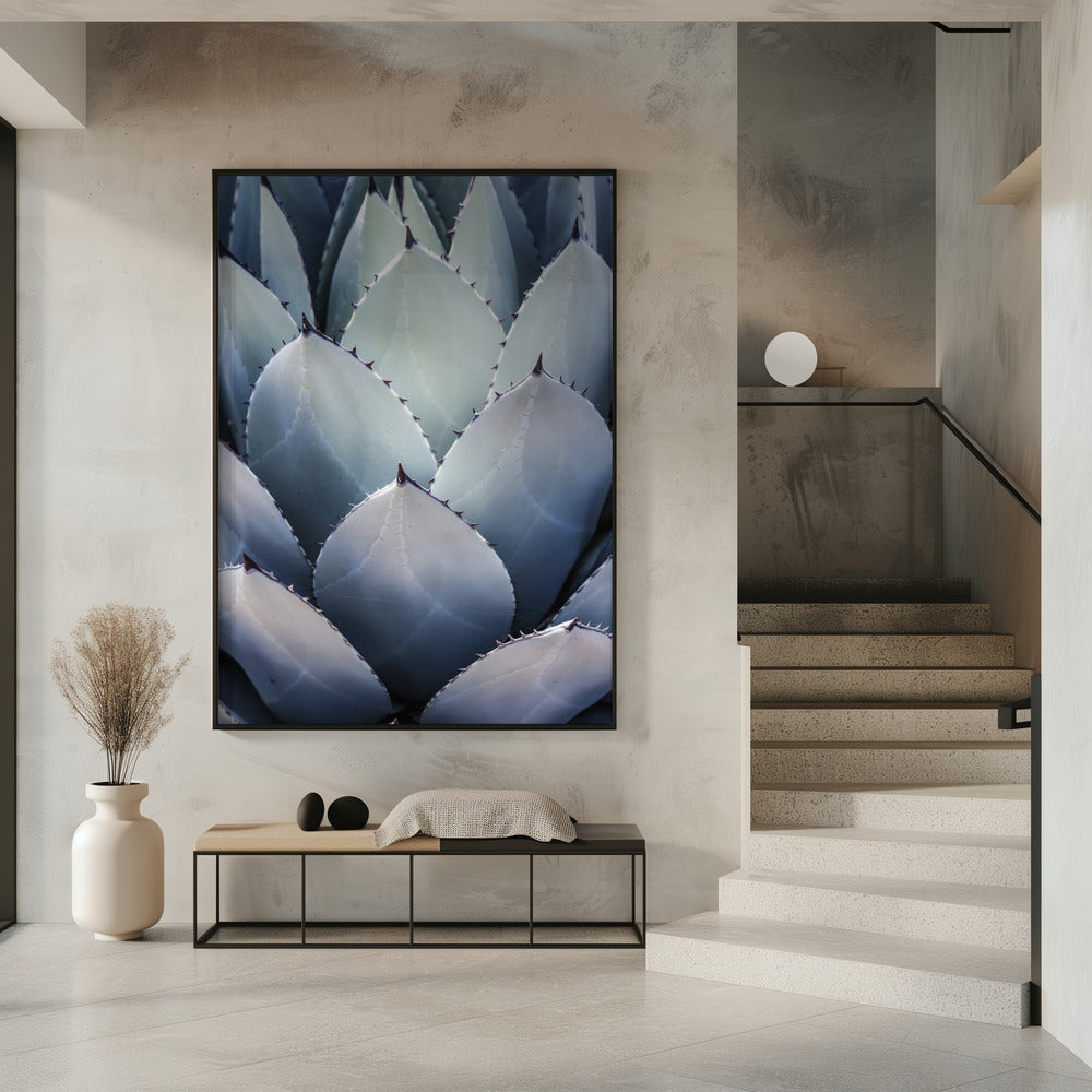 Agave Geometry | Poster