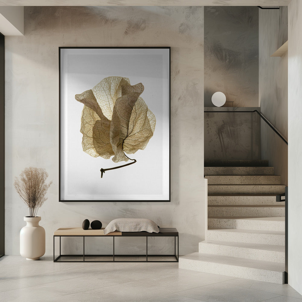 Whispering Petals | Poster