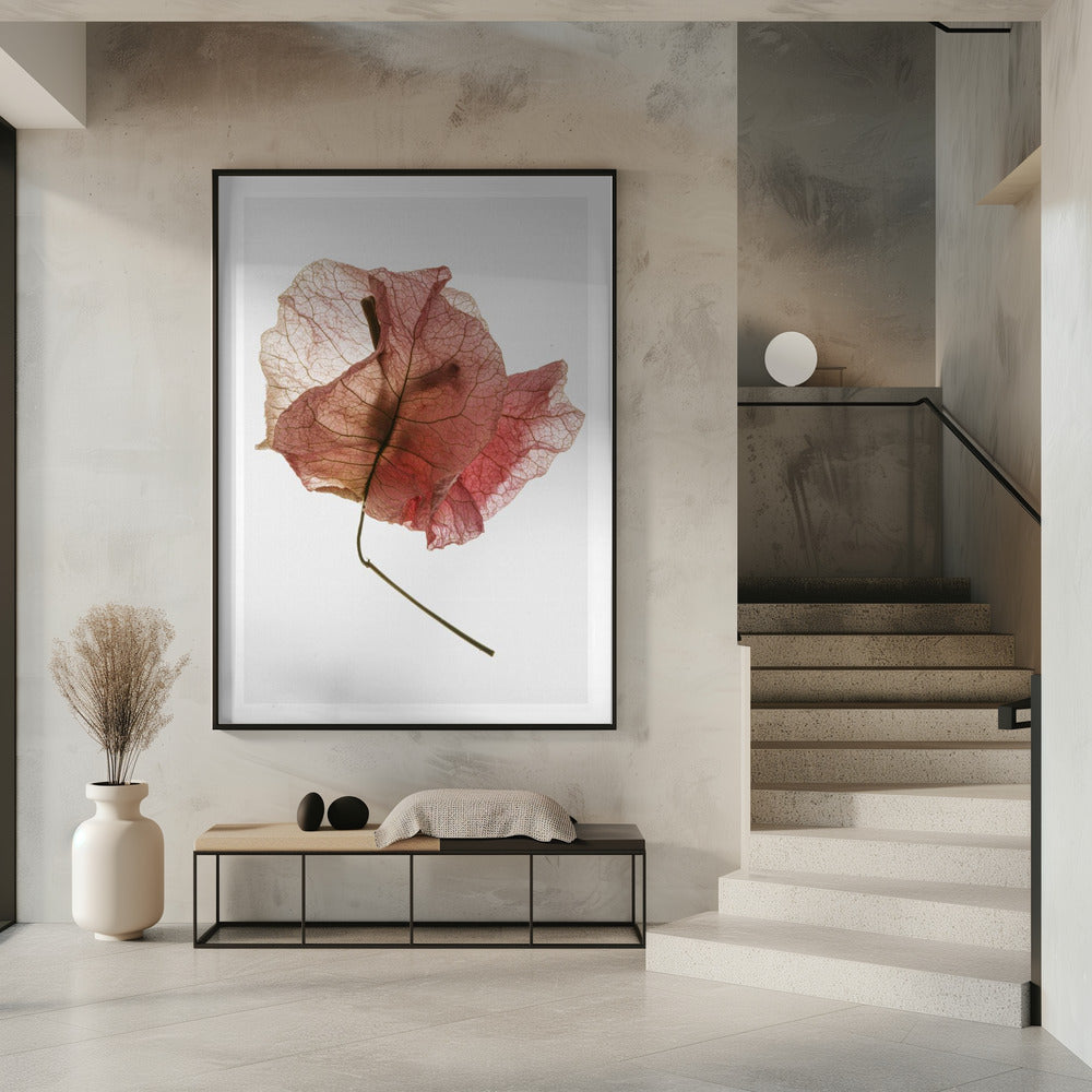 Delicate Petal Veins | Poster