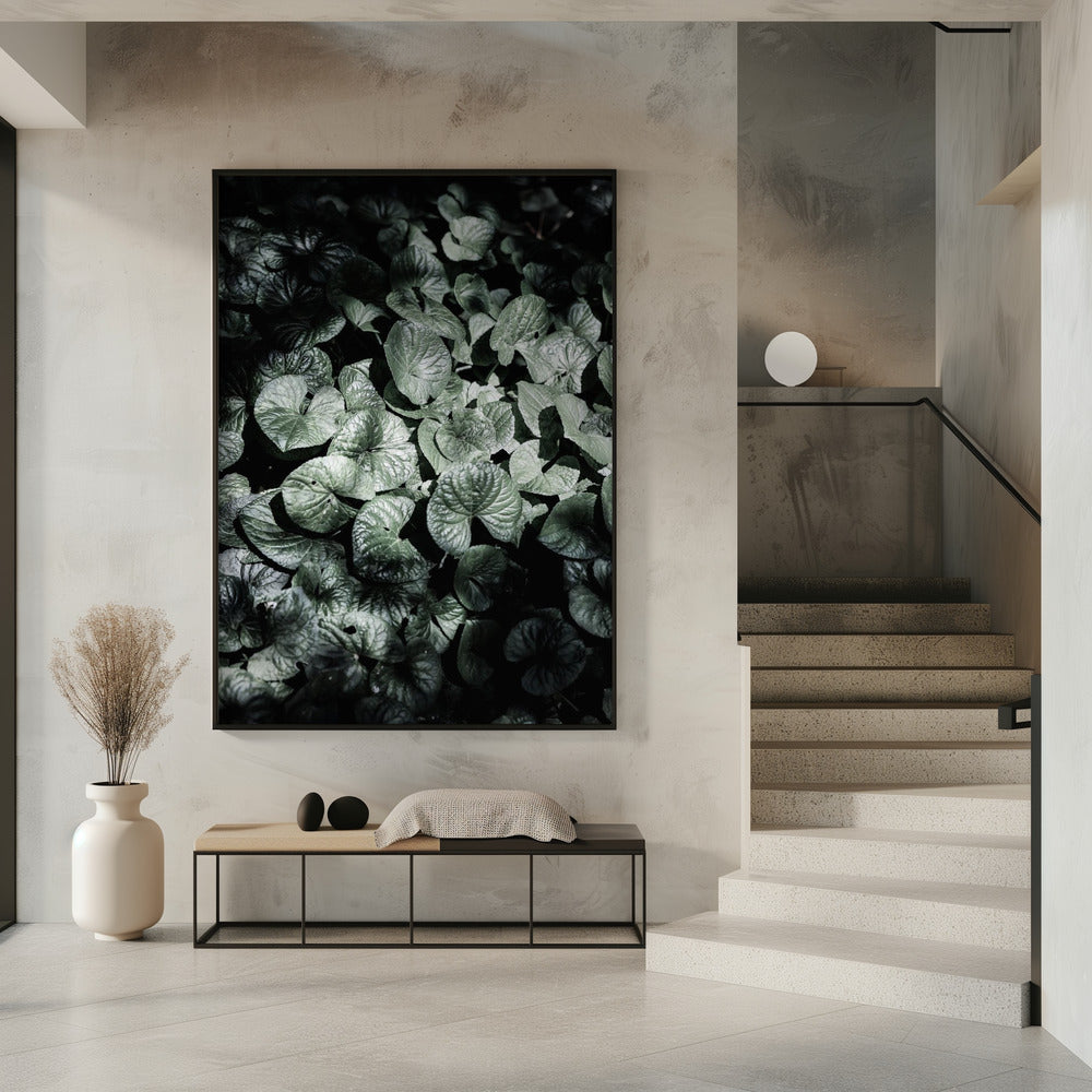 Leafy Shadows | Poster