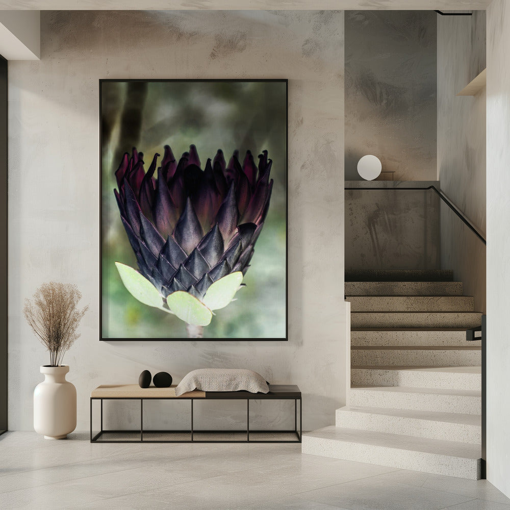 Shadowed Blossom | Poster
