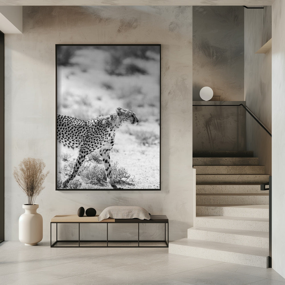 Cheetah's Grace | Poster