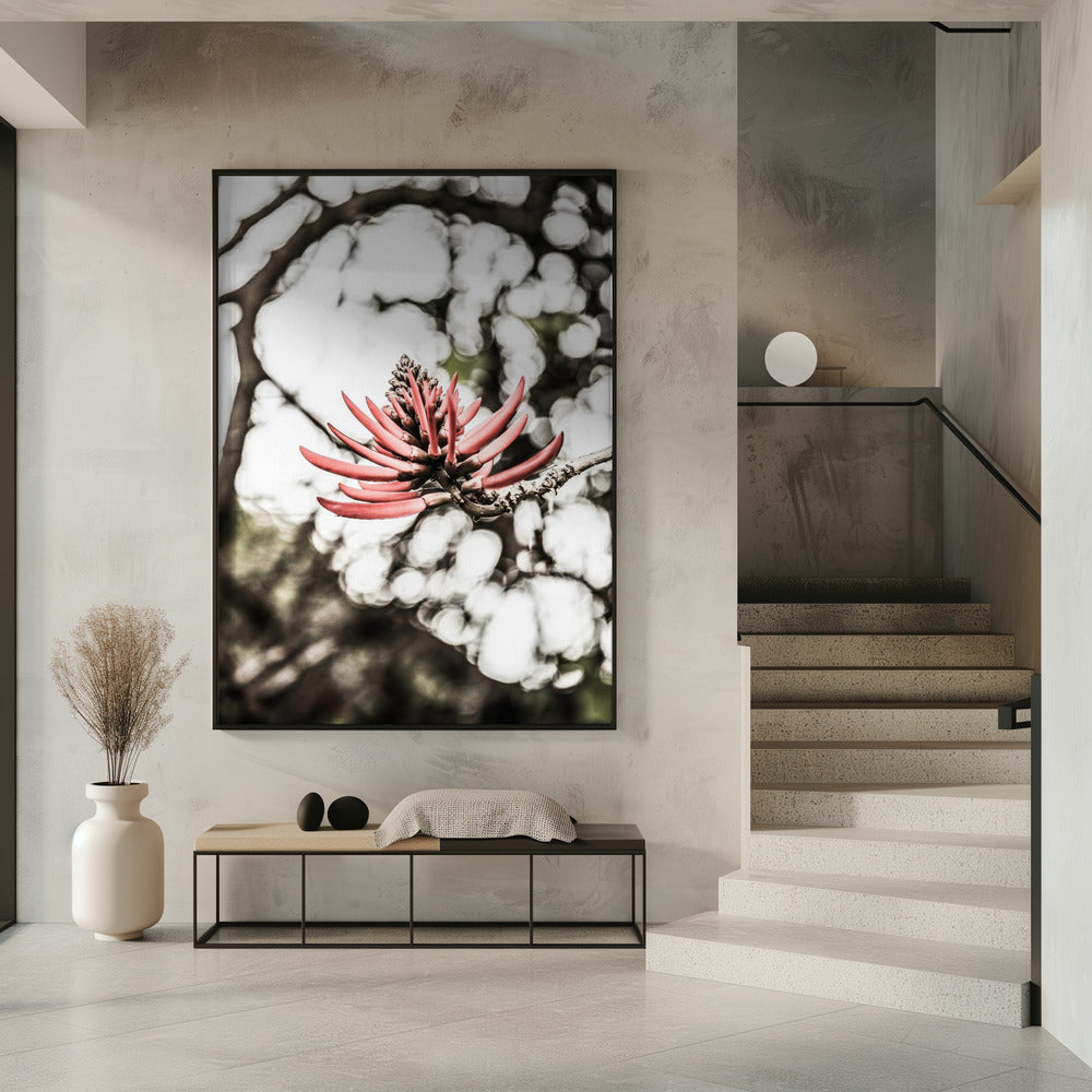 Crimson Blossom | Poster